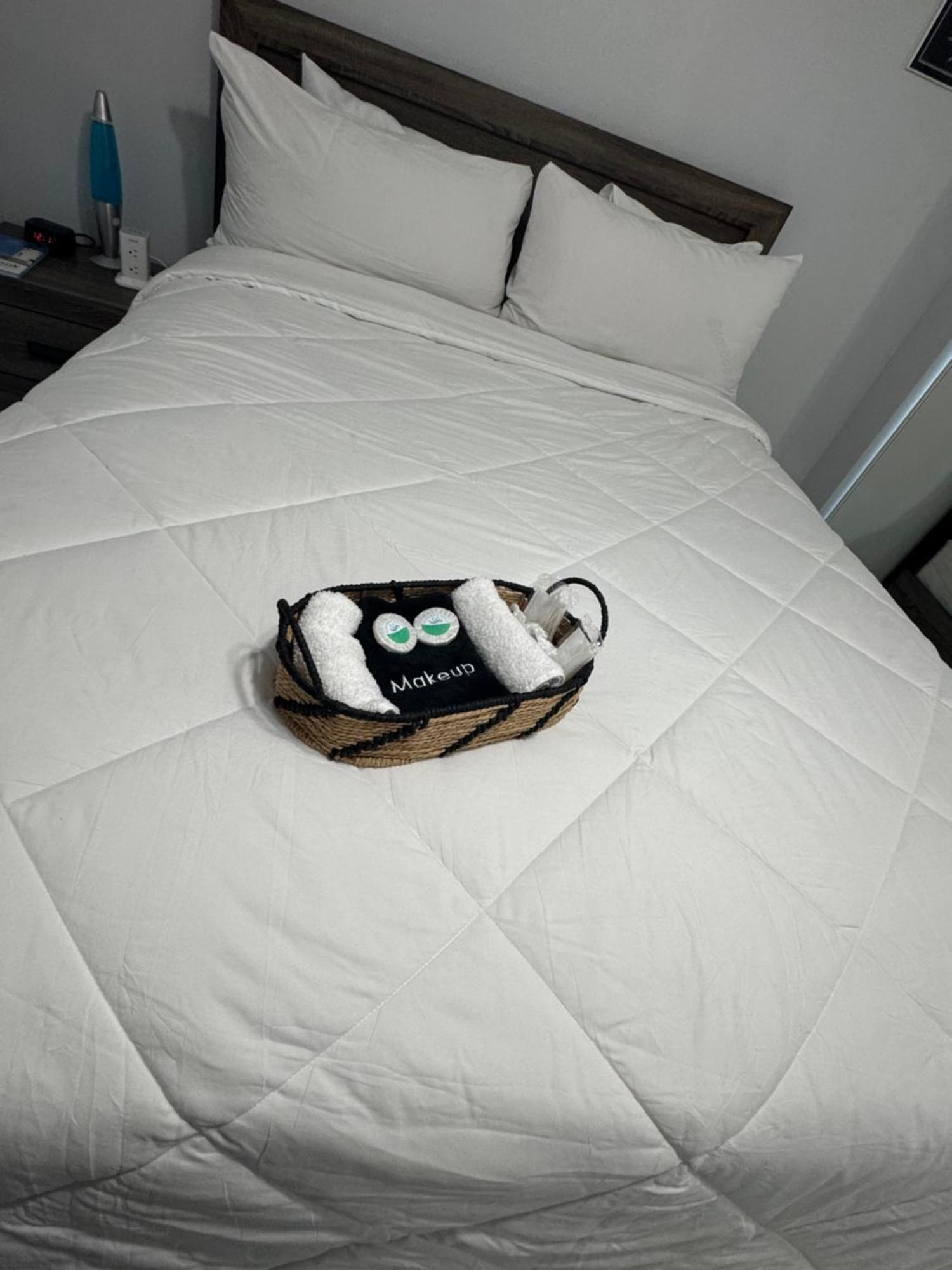 Great Apartment In Valrico エクステリア 写真
